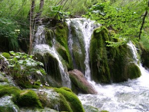 fotode skaneerimine